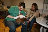 INSEMINATION ARTIFICIELLE 016